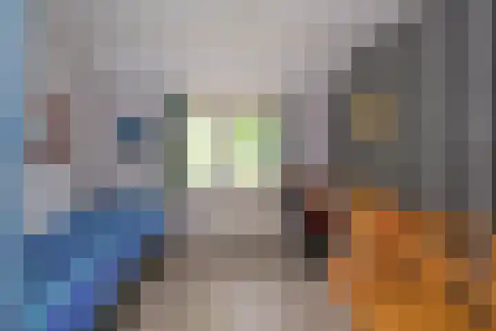 Kastanjelaan 2 Aadorp thumbnail 28