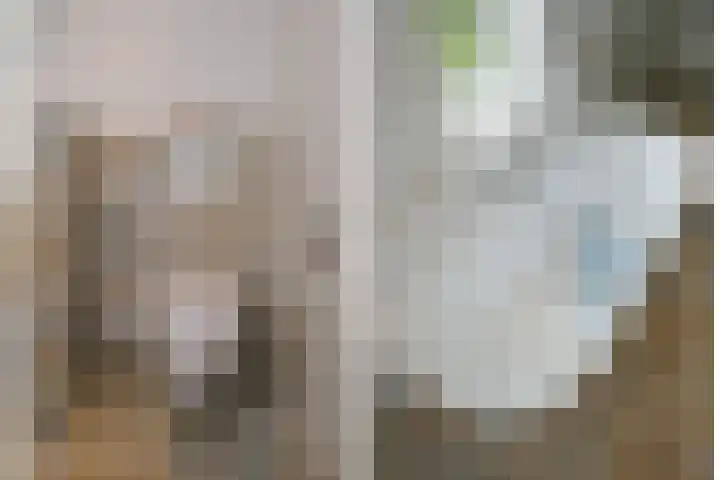 Kastanjelaan 2 Aadorp thumbnail 34