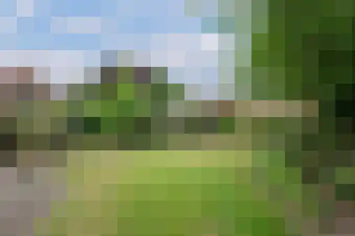 Kastanjelaan 2 Aadorp thumbnail 38