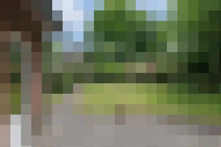 Kastanjelaan 2 Aadorp thumbnail 39