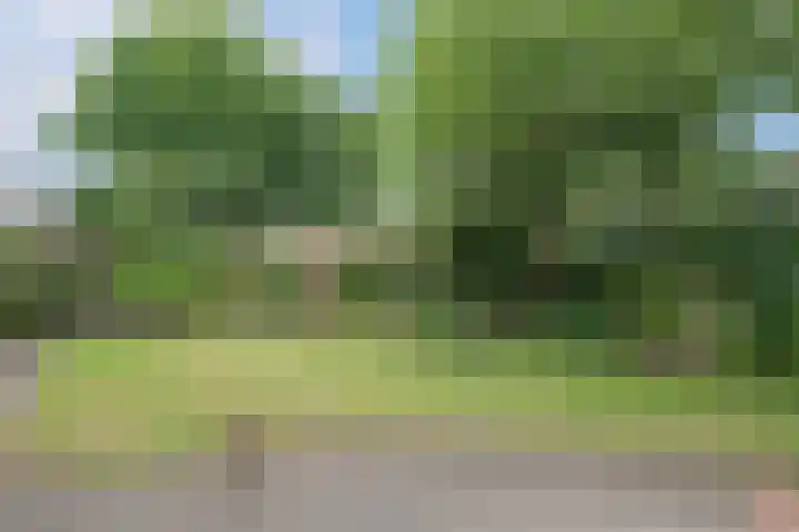 Kastanjelaan 2 Aadorp thumbnail 40