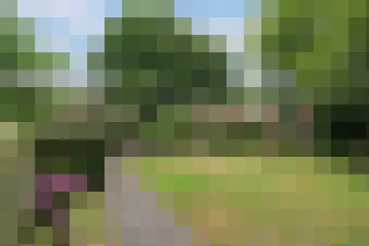Kastanjelaan 2 Aadorp thumbnail 41