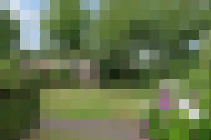 Kastanjelaan 2 Aadorp thumbnail 42