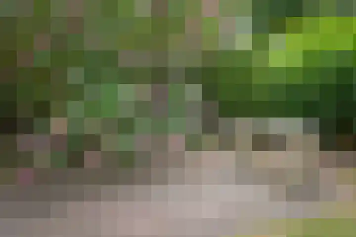 Kastanjelaan 2 Aadorp thumbnail 43