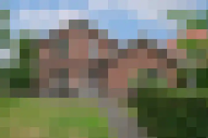 Kastanjelaan 2 Aadorp thumbnail 44