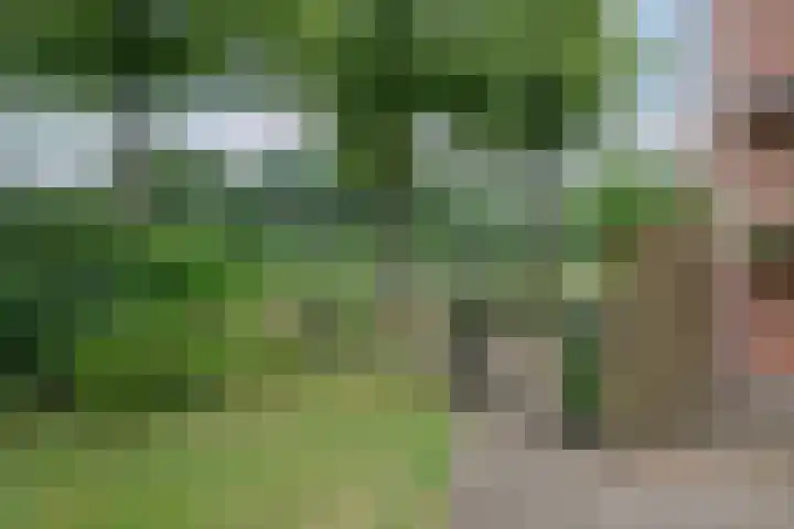 Kastanjelaan 2 Aadorp thumbnail 46