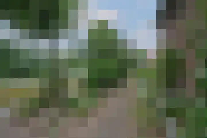 Kastanjelaan 2 Aadorp thumbnail 47