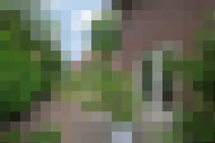 Kastanjelaan 2 Aadorp thumbnail 48