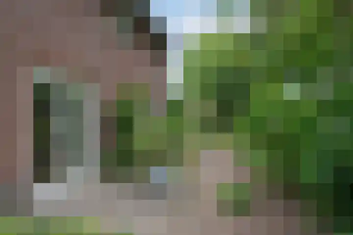 Kastanjelaan 2 Aadorp thumbnail 49