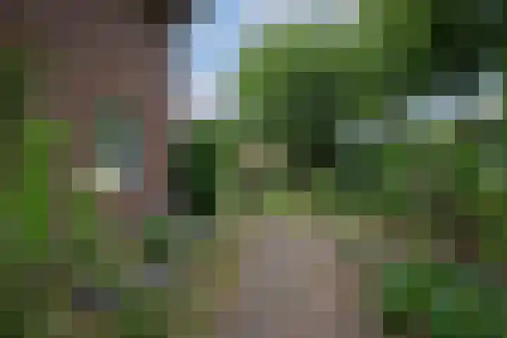 Kastanjelaan 2 Aadorp thumbnail 50