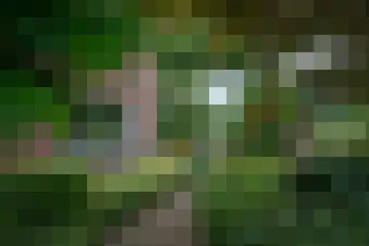 Kastanjelaan 2 Aadorp thumbnail 51