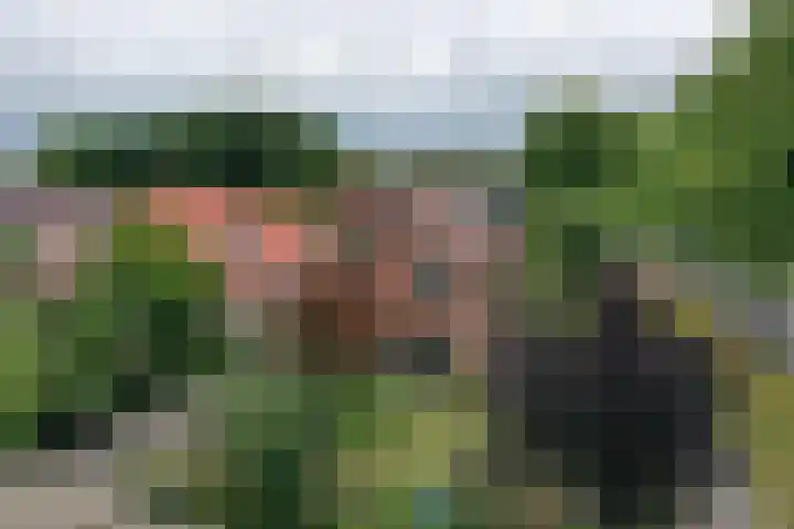 Kastanjelaan 2 Aadorp thumbnail 52