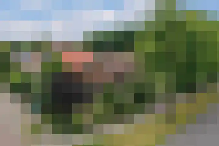 Kastanjelaan 2 Aadorp thumbnail 53