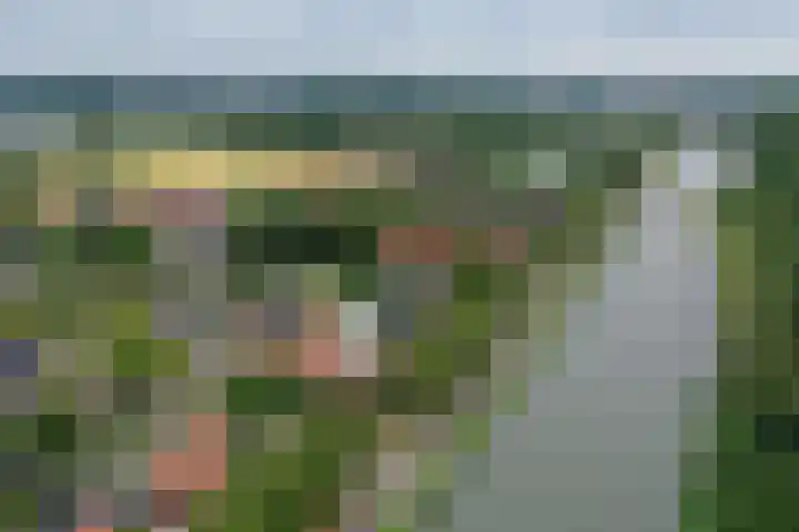 Kastanjelaan 2 Aadorp thumbnail 54