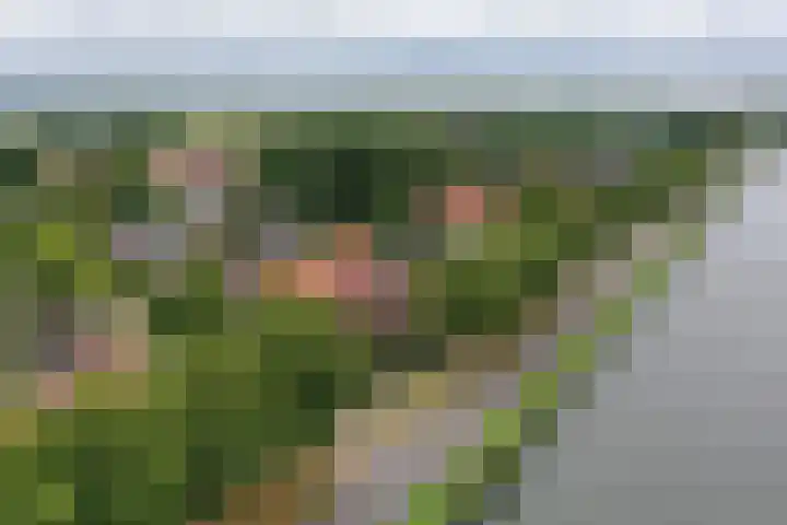 Kastanjelaan 2 Aadorp thumbnail 55