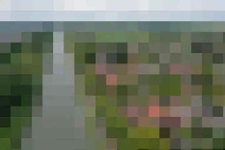 Kastanjelaan 2 Aadorp thumbnail 56