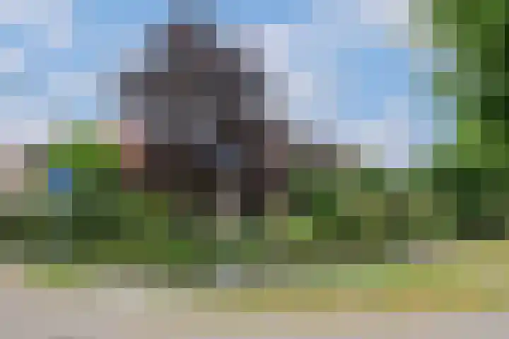 Kastanjelaan 2 Aadorp thumbnail 58