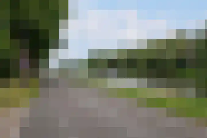 Kastanjelaan 2 Aadorp thumbnail 59