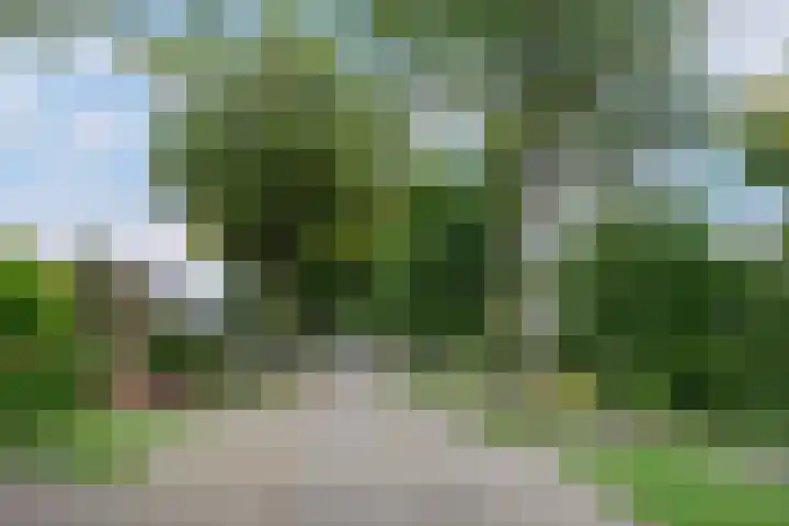 Kastanjelaan 2 Aadorp thumbnail 60