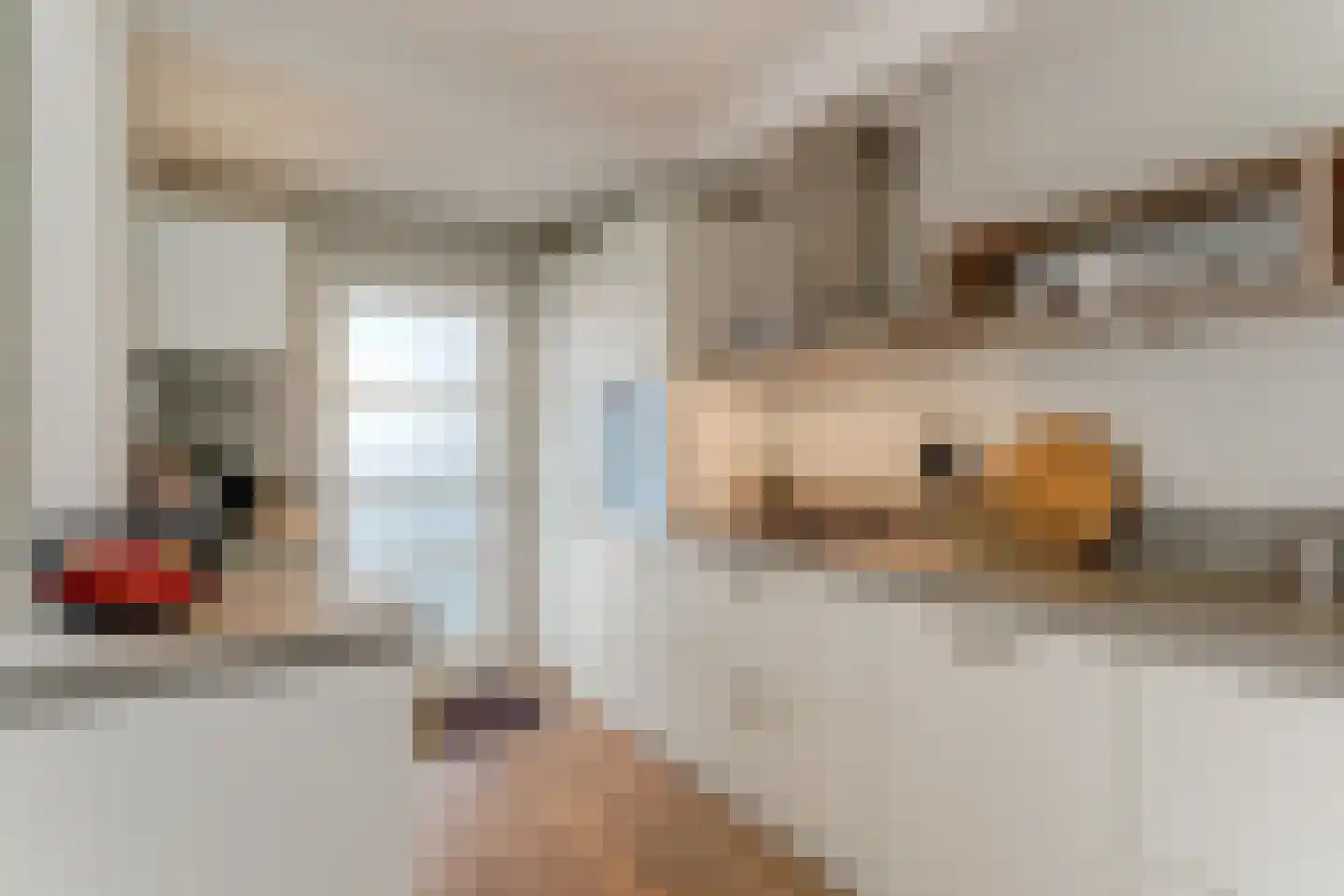 Kastanjelaan 2 Hoogwoud thumbnail 15