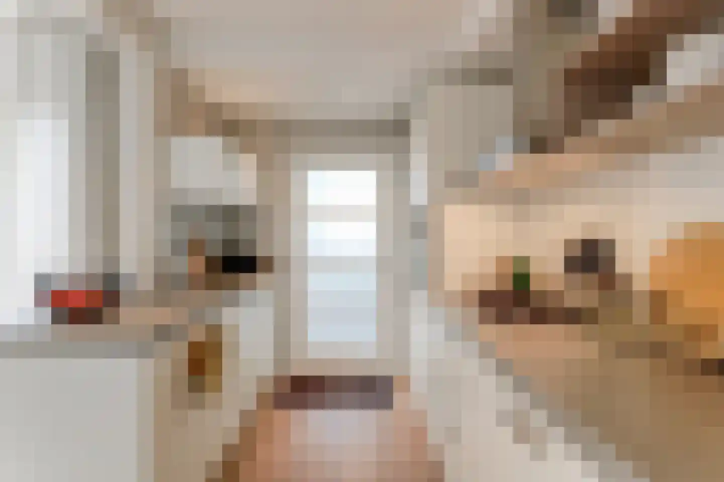 Kastanjelaan 2 Hoogwoud thumbnail 17