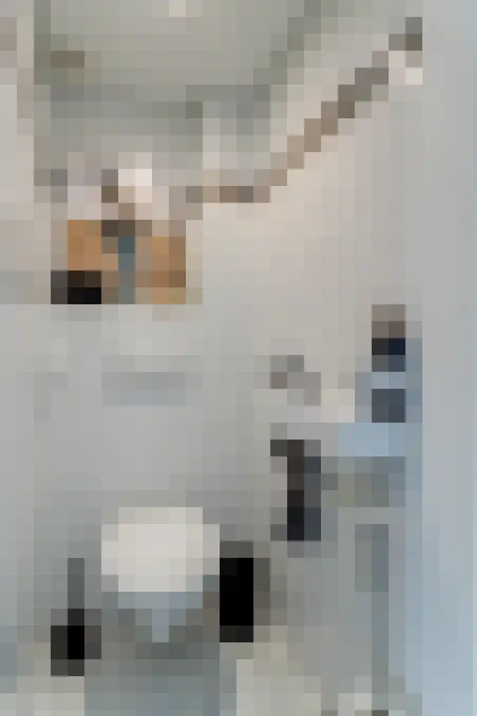 Kastanjelaan 2 Hoogwoud thumbnail 20