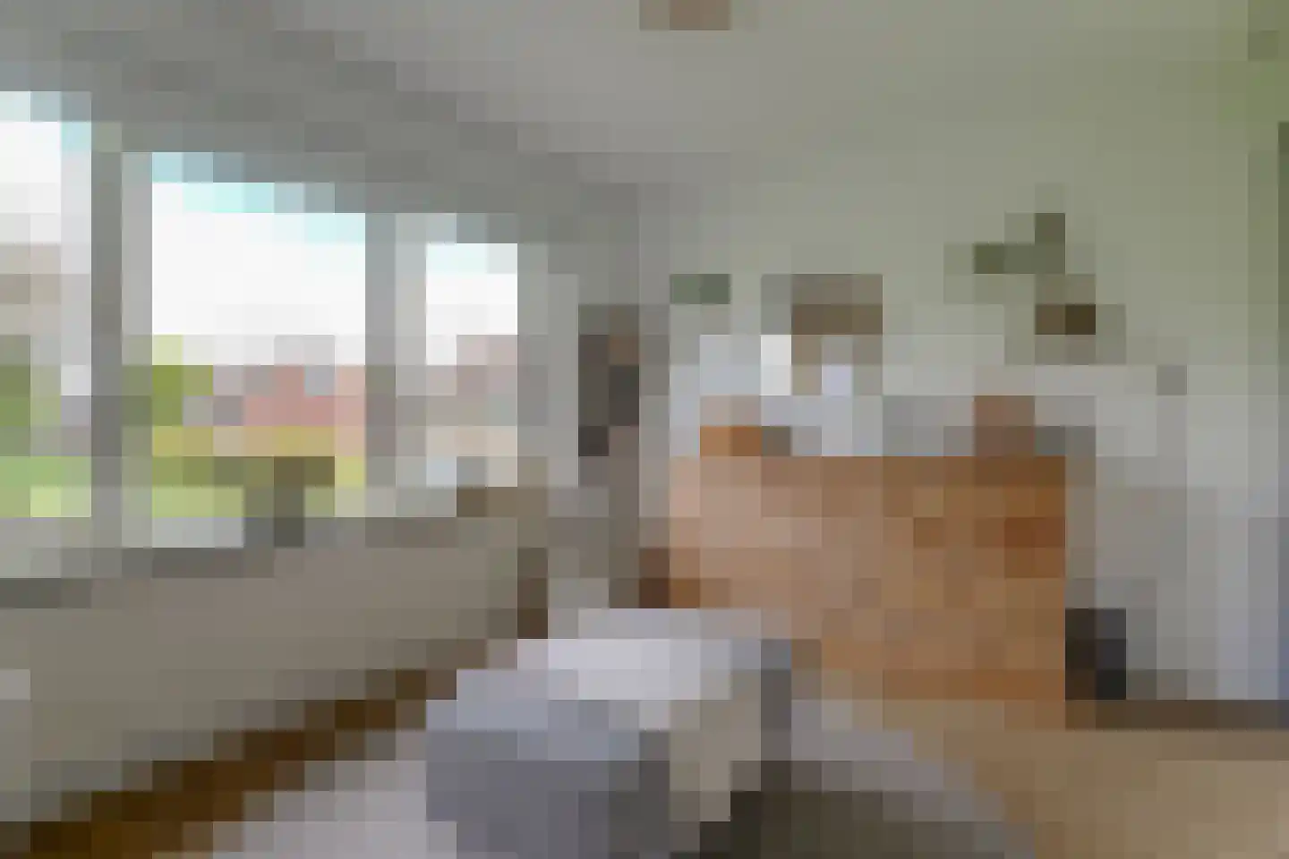 Kastanjelaan 2 Hoogwoud thumbnail 28