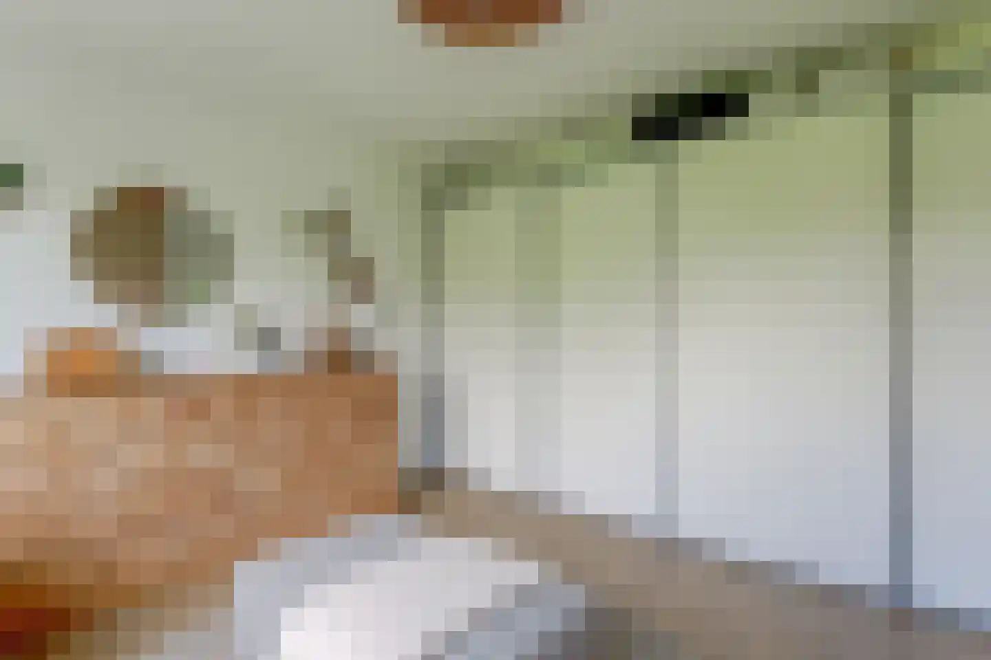 Kastanjelaan 2 Hoogwoud thumbnail 30