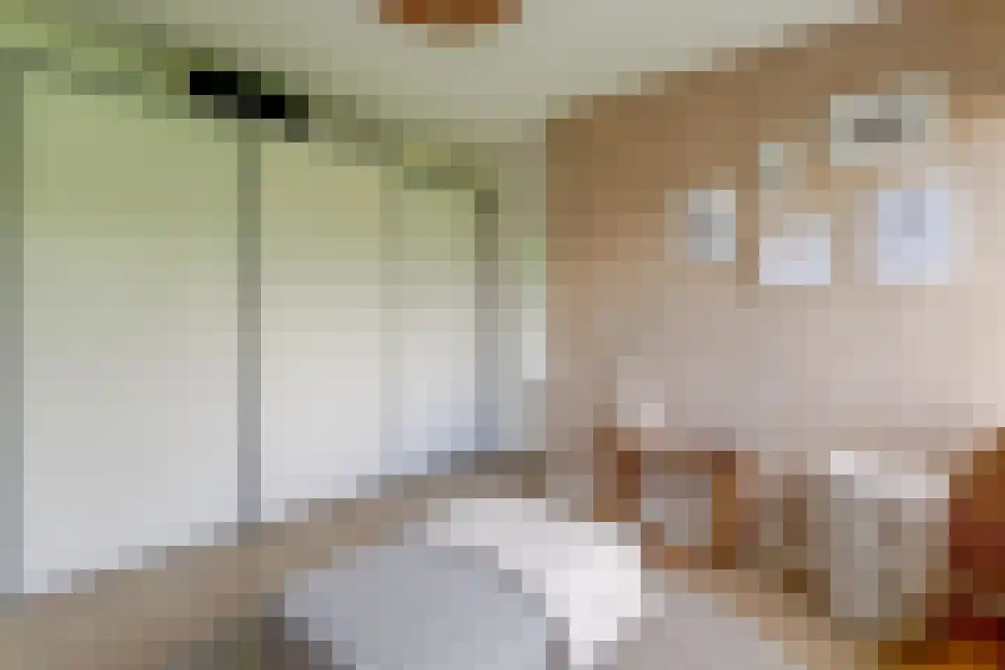 Kastanjelaan 2 Hoogwoud thumbnail 31
