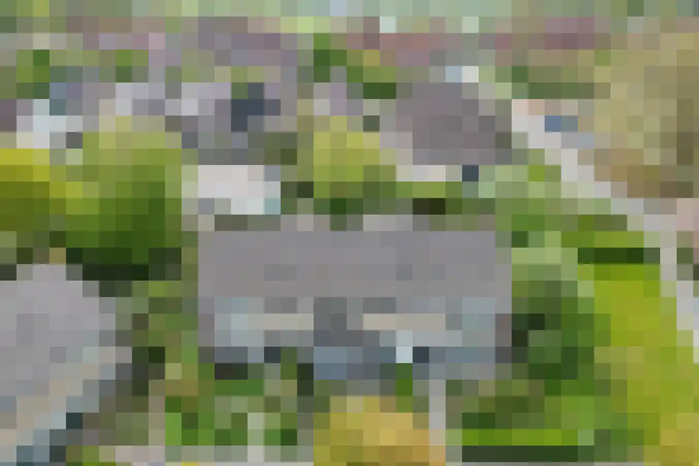 Kastanjelaan 2 Hoogwoud thumbnail 56