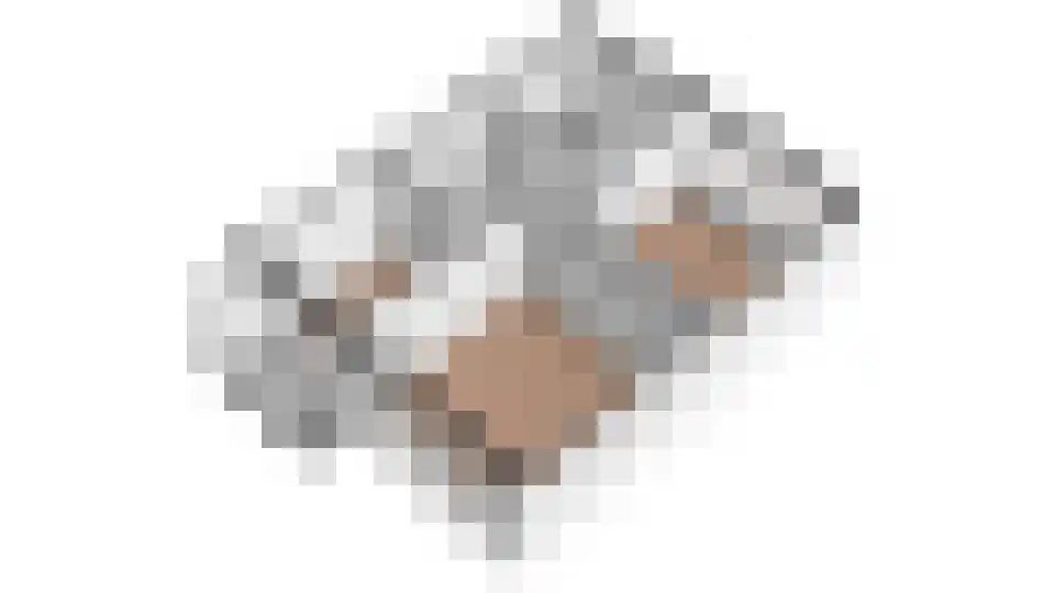 Kastanjelaan 2 Hoogwoud thumbnail 63