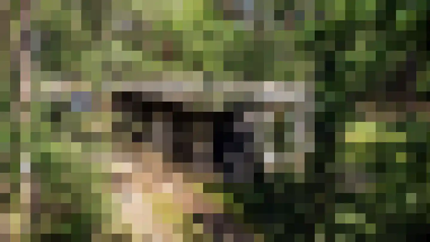 Kastanjelaan 2 Norg