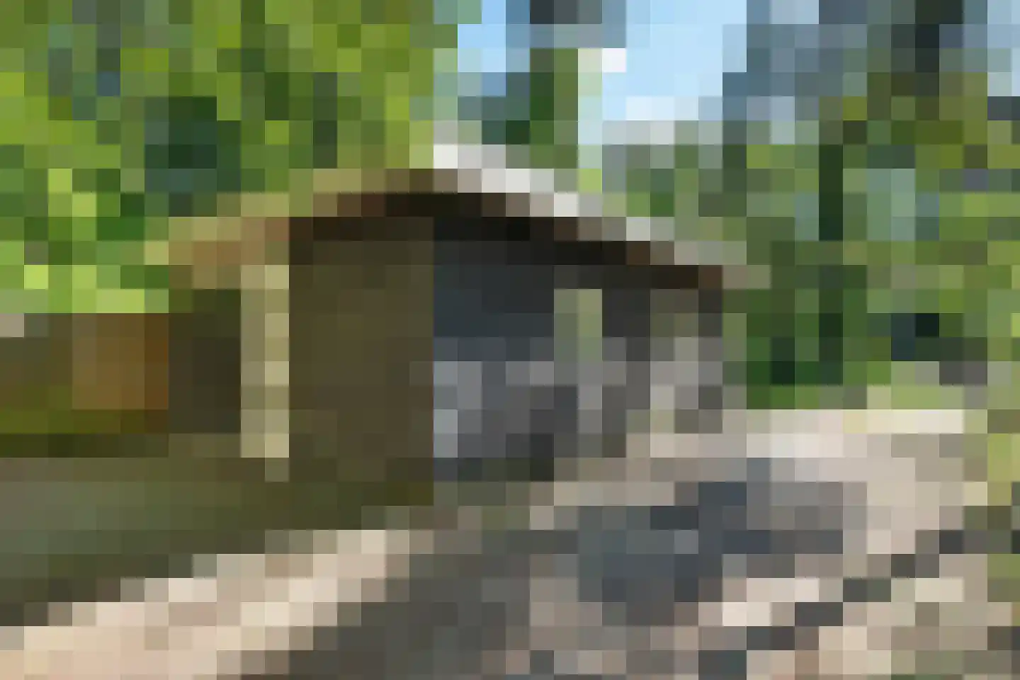 Kastanjelaan 2 Norg thumbnail 16
