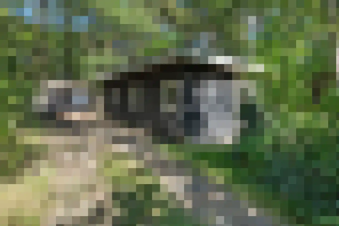 Kastanjelaan 2 Norg thumbnail 17