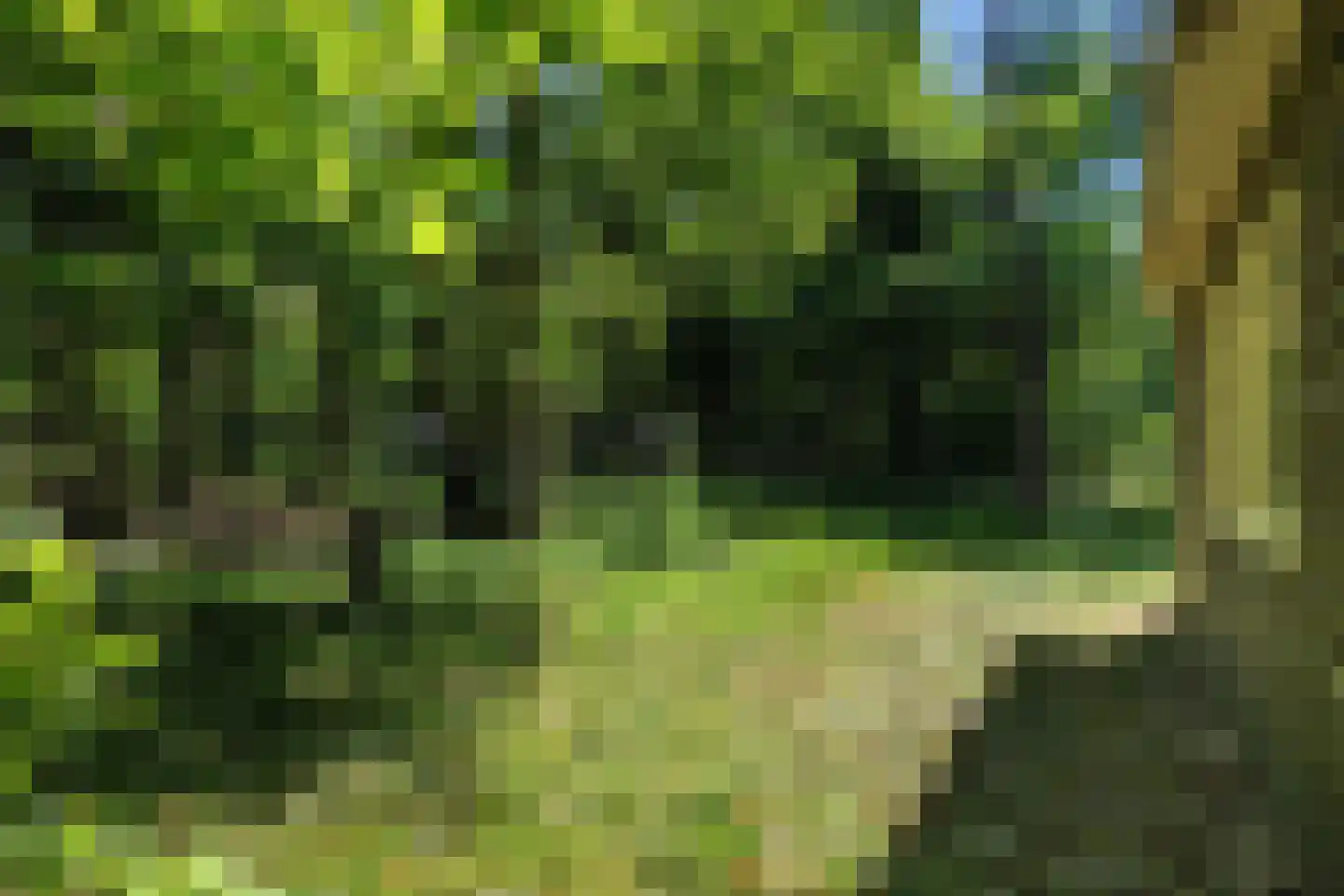 Kastanjelaan 2 Norg thumbnail 19