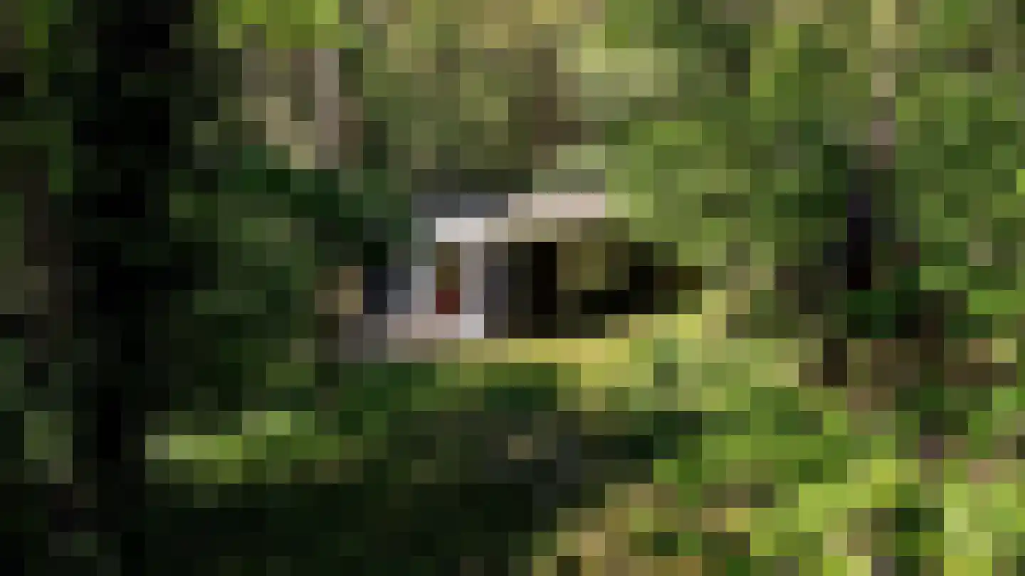 Kastanjelaan 2 Norg foto 2