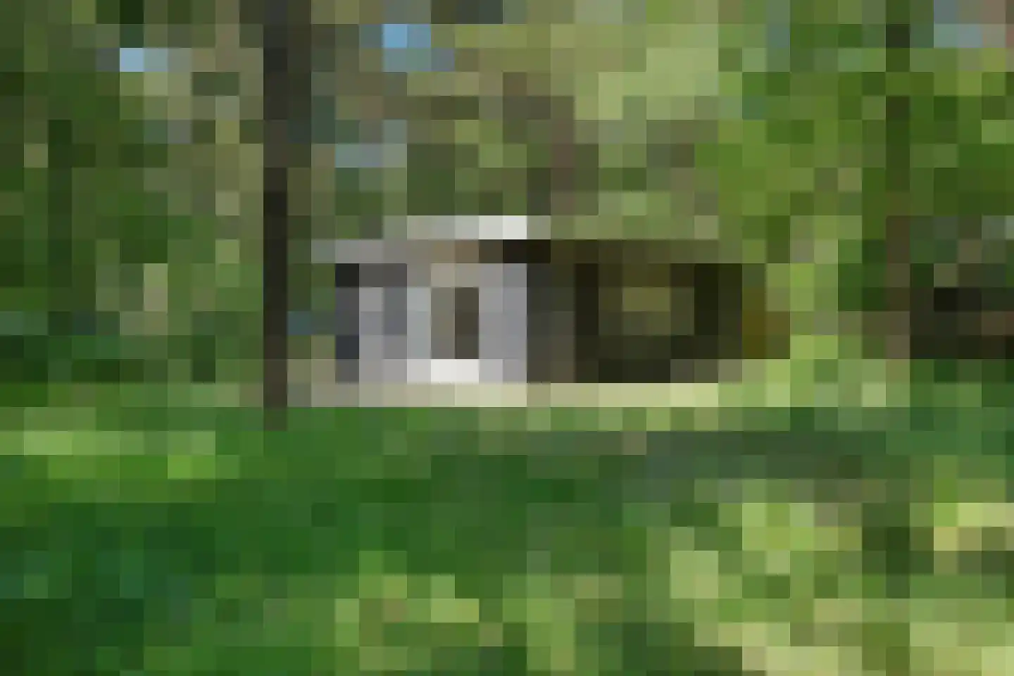 Kastanjelaan 2 Norg thumbnail 20