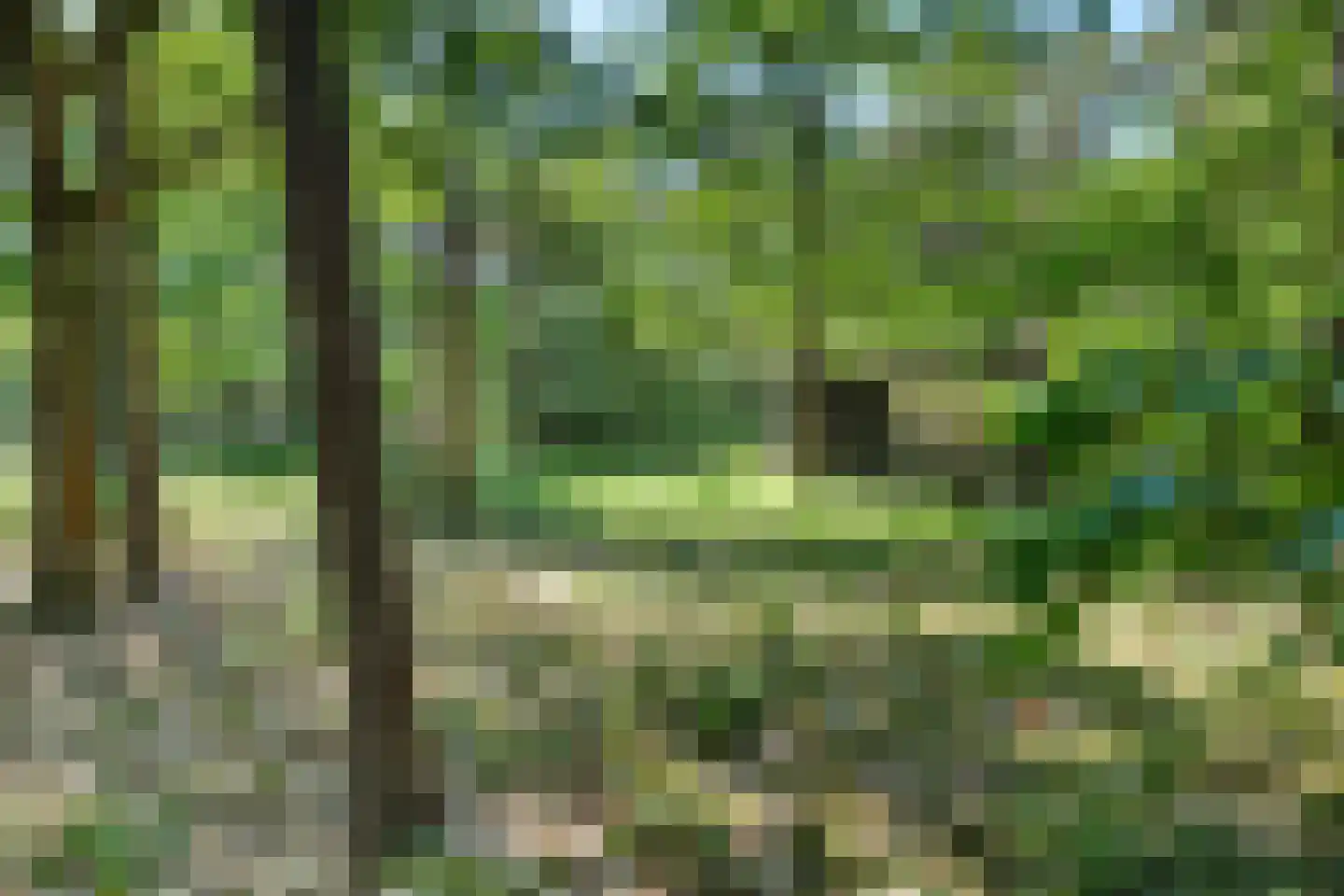 Kastanjelaan 2 Norg thumbnail 21