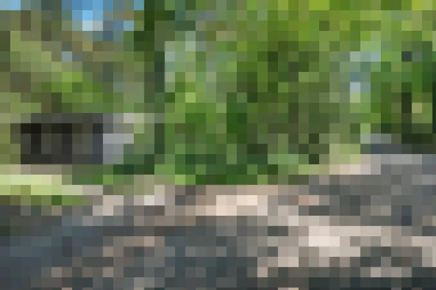 Kastanjelaan 2 Norg thumbnail 22