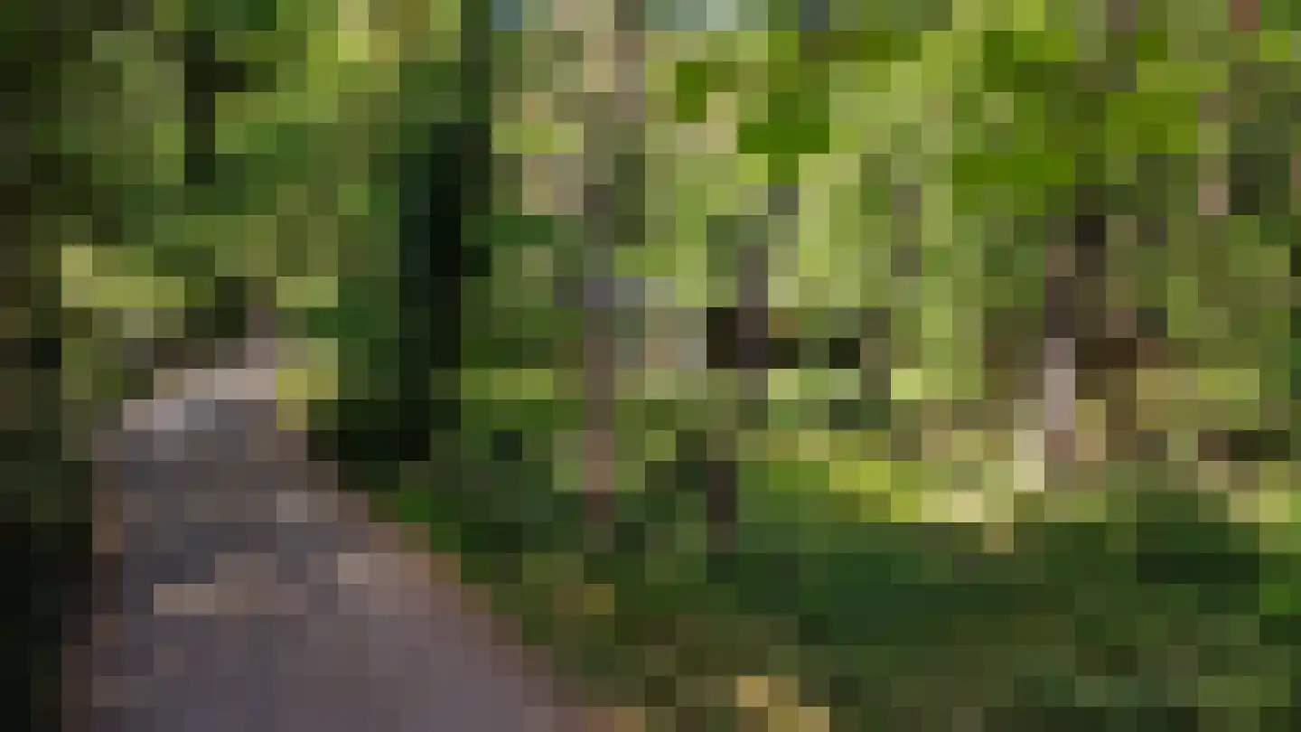 Kastanjelaan 2 Norg thumbnail 23