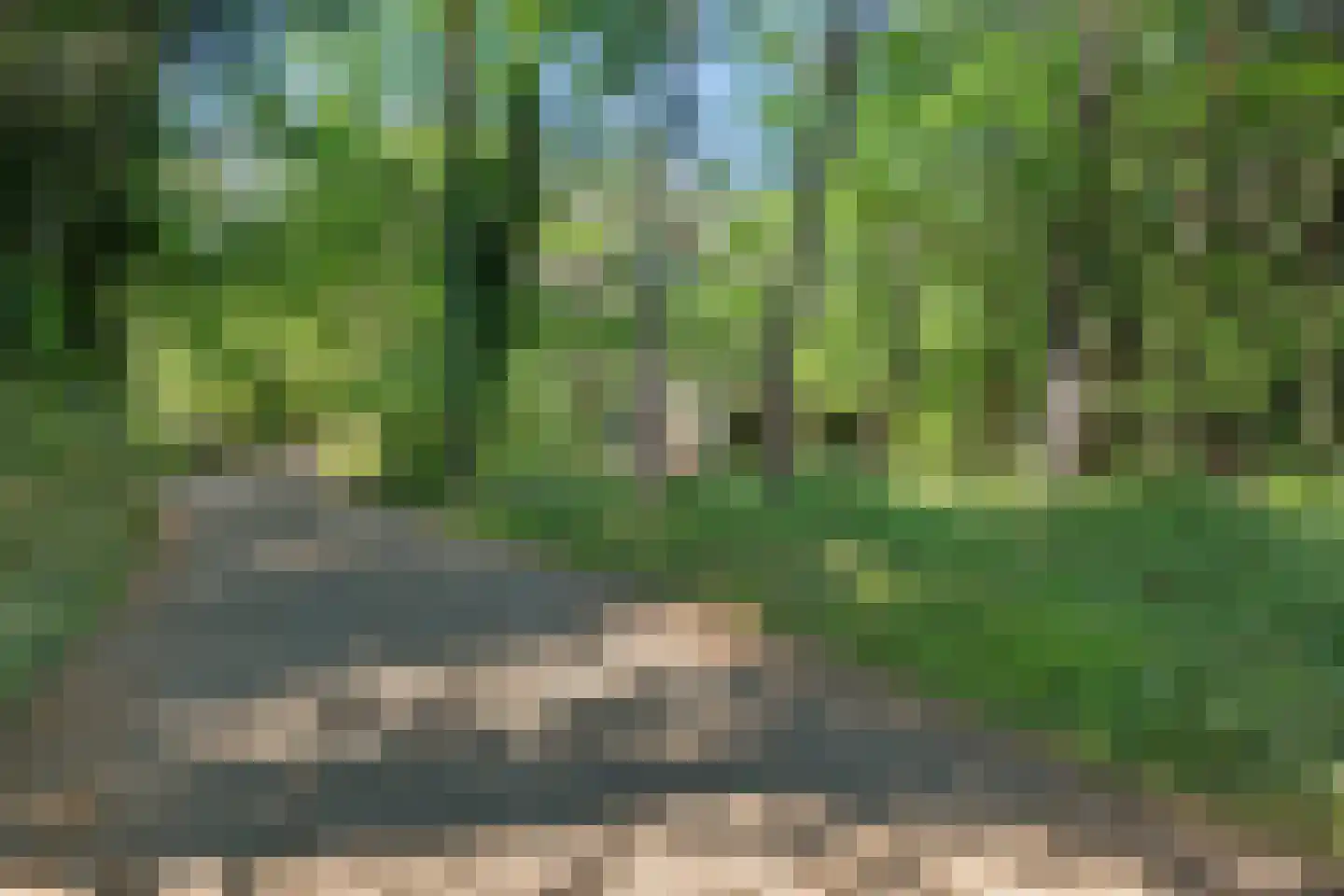 Kastanjelaan 2 Norg thumbnail 24