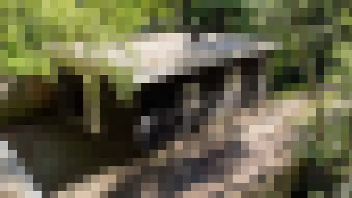 Kastanjelaan 2 Norg foto 3