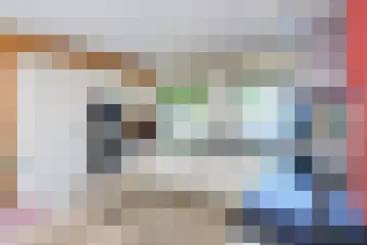 Kastanjelaan 2 Papendrecht thumbnail 12