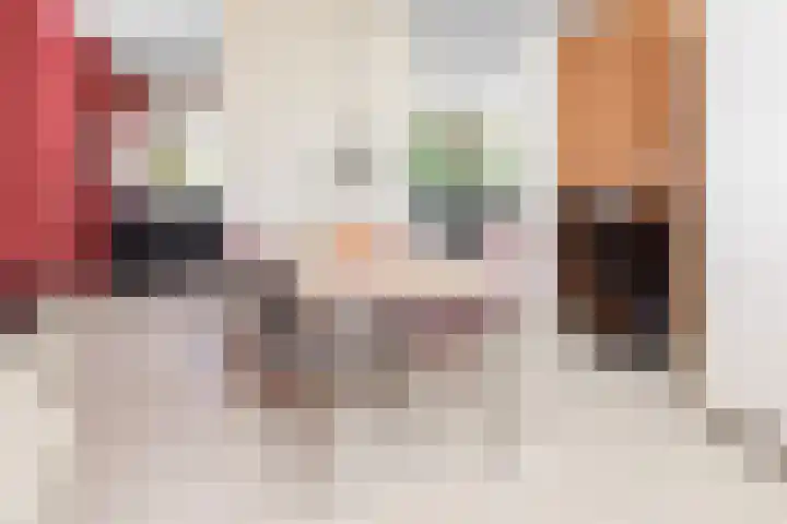 Kastanjelaan 2 Papendrecht thumbnail 13