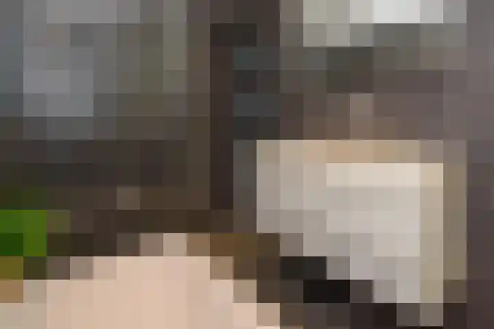Kastanjelaan 2 Papendrecht thumbnail 17