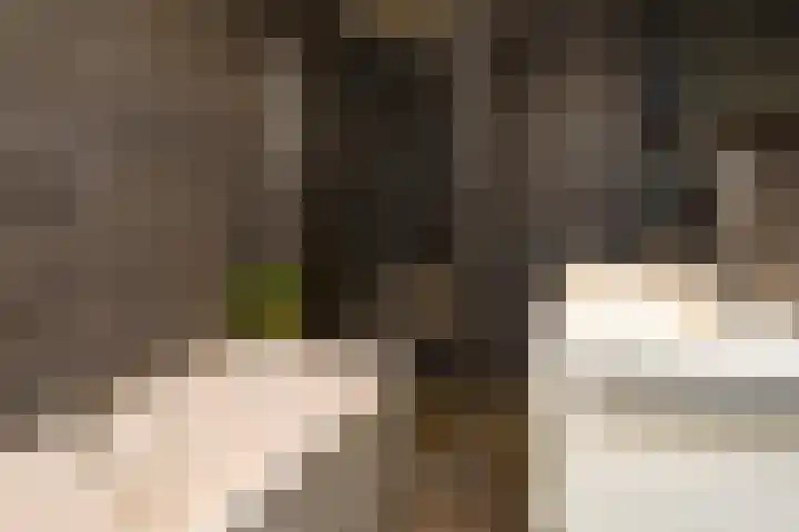 Kastanjelaan 2 Papendrecht thumbnail 18