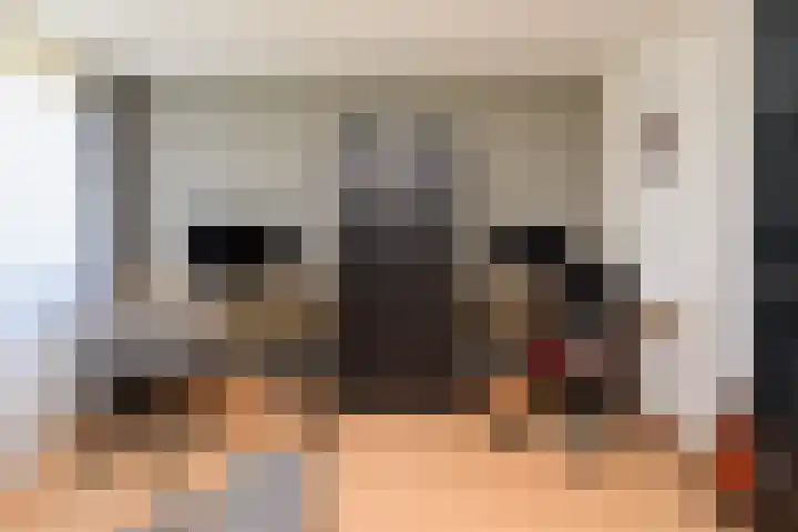 Kastanjelaan 2 Papendrecht thumbnail 22