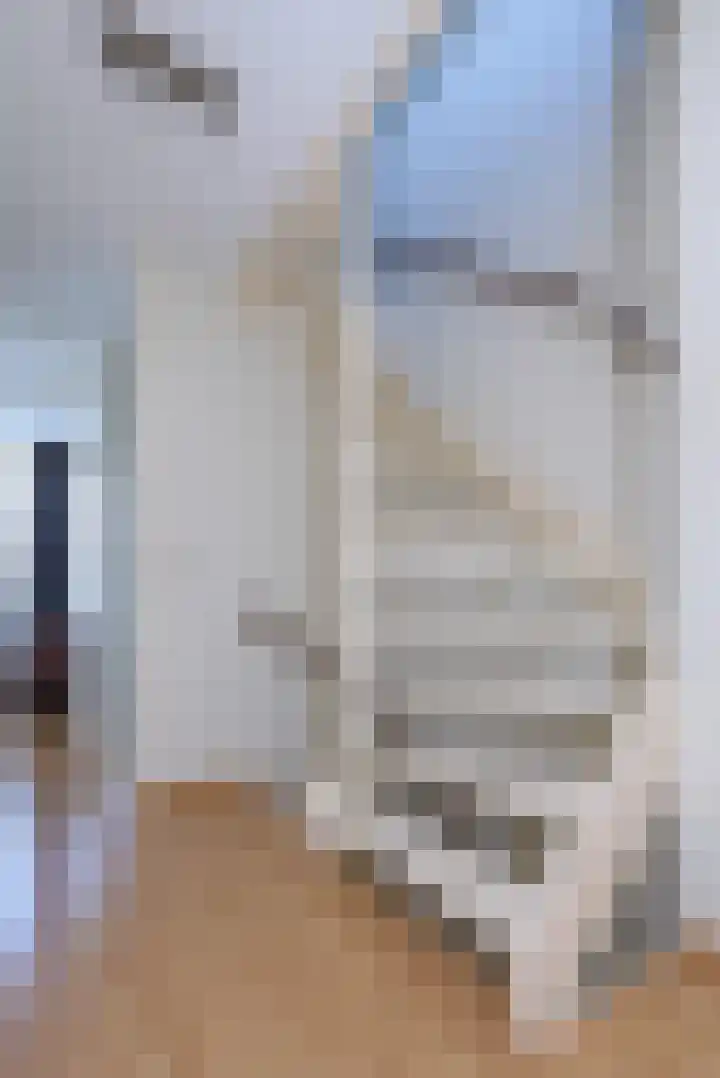 Kastanjelaan 2 Papendrecht thumbnail 24