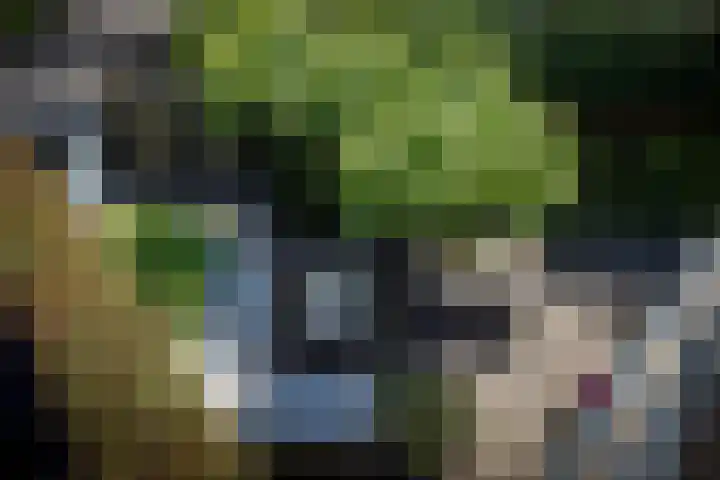Kastanjelaan 2 Papendrecht thumbnail 27