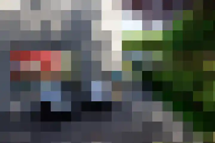 Kastanjelaan 2 Papendrecht thumbnail 29